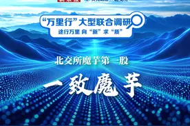 北交所万里行|一致魔芋服务绿色健康，#北交所魔芋第一股业绩优良视频封面