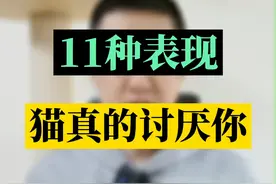 猫讨厌你的11种表现，赶紧来测试一下，你们家主子是不是不喜欢你！
#猫 #养猫养猫 视频封面