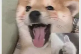 别的赞助商打广告，#蚂蚁保搞应援，格局瞬间拉满！#苏超 #南京 #苏州