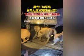 黑龙江林草局发布人虎冲突防范公告：弯腰劳作时脑后可带个假面具，最好不要带狗一起进山。