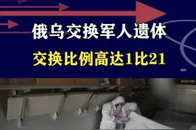 俄乌交换阵亡军人遗体，909具对43具，损失悬殊体现双方战力 #抖音热评