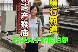 尼泊尔世界文化遗产著名猴庙，千只猴子横行霸道，看加德满都全景视频封面