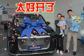蹭提全新岚图梦想家视频封面