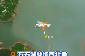 宠粉福利来了！40秒三维地图速览 岳阳（东洞庭湖）拟新增规范垂钓区！#东洞庭湖 #可钓区 #规范垂钓区 #岳阳渔政 #宠粉钓点大全视频封面