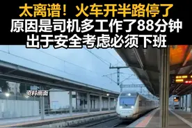 太离谱！火车开半路停了，原因是司机多工作了88分钟，出于安全考虑必须下班