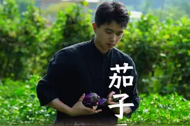 菜地里吃不完的茄子把它晒干，凉拌和炒菜都超级下饭，既方便保存又美味独特#新农人计划2024 #农村美食 #茄子干 #家乡的味道 #我的农村生活视频封面