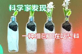 一种基因突变的细菌，正在吃人类的塑料！视频封面
