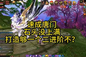 冰总速起唐门！打造花费够收二进阶不？ #新天龙八部端游视频封面