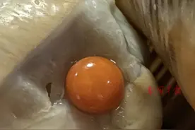 亲友聚餐吃出“海螺珠”，当事人：据说5万颗海螺里出一颗  #海鲜 #海螺珠 #宝贝视频封面