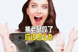 被老鼠咬了的危险 伤口感染风险
细菌感染视频封面