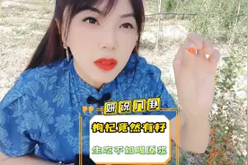枸杞竟然像辣椒一样有籽欸 ，替你们试过了，生吃不如喝原浆省事视频封面