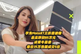 华为MateXT三折叠被曝最高炒到65万元，成黄牛最爱视频封面
