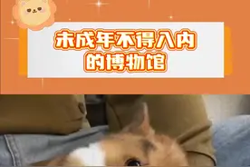 未成年人禁止入内的博物馆！#未成年 #博物馆 #常州 #一起看视频封面