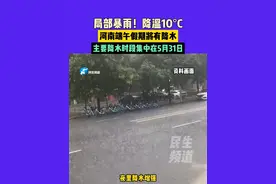 局部暴雨！降温10°C，河南端午假期将有降水，主要降水时段集中在5月31日#不一样的中国节气  #中国节气芒种篇