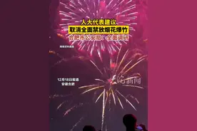 #人大代表 建议#取消全面禁放烟花爆竹 ,#合肥 市公安局：全面调研视频封面
