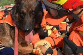 搜救犬的吠叫确认，别怕，我找到你了！ #搜救犬