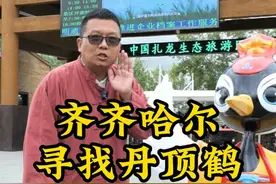 晴空一鹤排云上，便引诗情到碧霄。北纬47度的浪漫——扎龙 丹顶鹤。#向全世界安利齐齐哈尔 #丹顶鹤#吹爆美好目的地视频封面