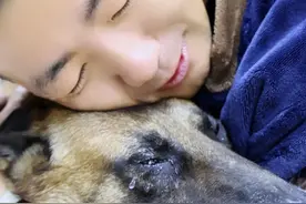 孝顺主人的毛孩子 马户就像个不会说话的孩子，无时无刻不在扮演着一个小暖男的角色，它用的行为诠释了它虽不会说话，但是却真的什么都懂。#萌宠出道计划 #忠犬马户 #不养狗不知道养狗的乐趣 #抖音萌宠 #萌宠日常记录视频封面