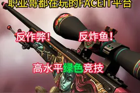 FACEIT平台下载及注册教程 还在被天赋怪和炸鱼哥一口一个ez困扰视频封面