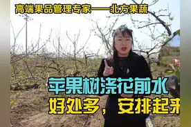 苹果树浇花前水好处多，安排起来！ #三农 #农业 #苹果管理技术视频封面