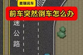 高速匝道，前车突然倒车怎么办 #每天一个用车知识 #交通安全小常识 #交通规则 #麦瑞说车