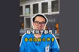 猫咪做梦都想告诉你的六件事 #猫咪 #猫咪的迷惑行为 #科学养宠攻略 #萌宠出道计划视频封面