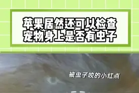 居然还可以这样#iPhone #冷知识