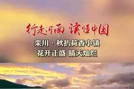 【行走河南·读懂中国】栾川·秋扒荷香小镇，花开正盛，晴天灿烂，雨天娇艳。#行走河南读懂中国 #老家河南新媒体矩阵 #秋扒乡荷花小镇 #栾川 #荷花 视频封面
