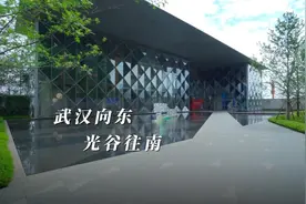 武汉向东，光谷往南。杭派精工房企首进武汉视频封面