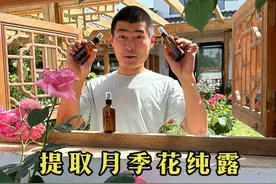 万万没想到，月季花还有这用处。 老公从满园的月季花中提取出来了一些纯露，送给我护肤，香味十足。#我的乡村生活 #乡村守护人 #新农人计划2025 #月季视频封面