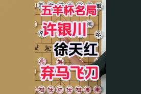 五羊杯名局 许银川对徐天红 弃马飞刀惊艳出鞘 是陷阱还是妙手视频封面