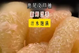 没有“虾线”的柚子！超级好剥皮超级治愈～#文旦柚 #秋天的第一个柚子  #柚子的正确剥法  #柚子  #新鲜应季水果