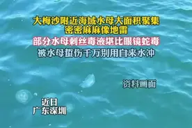 海边游玩注意防水母毒性堪比眼镜蛇（深圳台） 视频封面