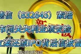 高德信索赔：上市闯关失利业绩变脸，监管立案还原背后信披雷视频封面