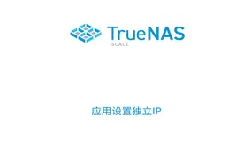 TrueNAS SCALE社区应用设置指定网络接口，真正独立IP