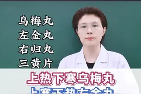 上热下寒乌梅丸，上寒下热左金丸，上下都寒右归丸上下都热三黄片 #中医