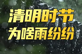为何一到清明就下雨？#清明时节雨纷纷  #清明节  #涨知识视频封面