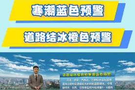 山东此次寒潮天气最低气温出现在5日早晨视频封面
