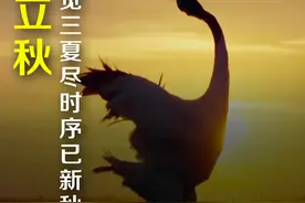 明日#立秋  未觉三夏尽，时序已新秋！#来吉林一切来得及视频封面