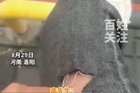 8月29日河南洛阳，男子买条牛仔裤一撕就破，喜提自助型破洞牛仔裤一条。#万万没想到 视频封面