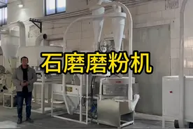 全自动石磨磨粉机 石磨磨面机 石磨面粉加工机器#石磨磨粉机视频封面