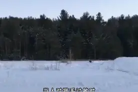 对猫过敏，你是不是很难受视频封面