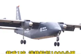 3月15日，山东莱西，山东有史以来自主研制的最大的航空器整机，成功首飞。载重1000公斤，满载航程1000公里。#无人机视频封面