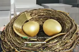 黄金鸟窝协议箱位置！最简单最安全！ #三角洲行动