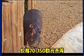 这个世界怎么颠成了这样 #冷知识 #丹麦 #万万没想到视频封面