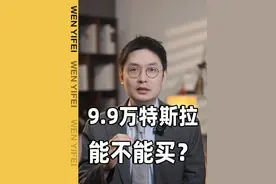 9.9万特斯拉，是不是智商税？ #二手车  #行业大揭秘  #罗永浩车展砸价新能源