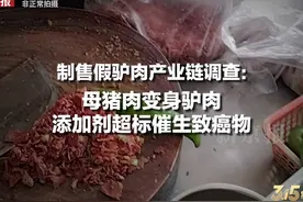 制售假驴肉产业链调查：母猪肉变身驴肉，添加剂超标催生致癌物视频封面