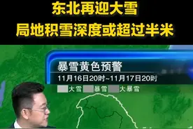 暴雪黄色预警+重大气象灾害（暴雪）三级应急响应！东北再迎大雪，局地大暴雪、积雪深度或超过半米 #央视天气预报