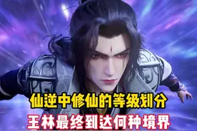 仙逆中修仙的等级划分，王林最终到达何种境界 #仙逆 #动漫