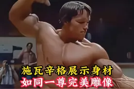 施瓦辛格健美赛展示身材，肌肉暴起无可匹敌，如同一尊完美雕像视频封面